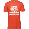 3065 Adult Extra Soft Tri-Blend T-Shirt Thumbnail